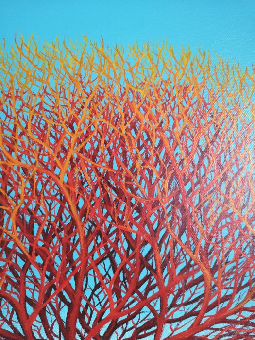 Winter Sun Tangle - Image 3