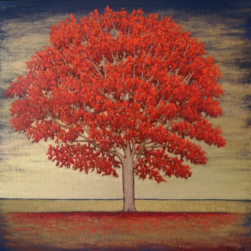 Evening Red 4