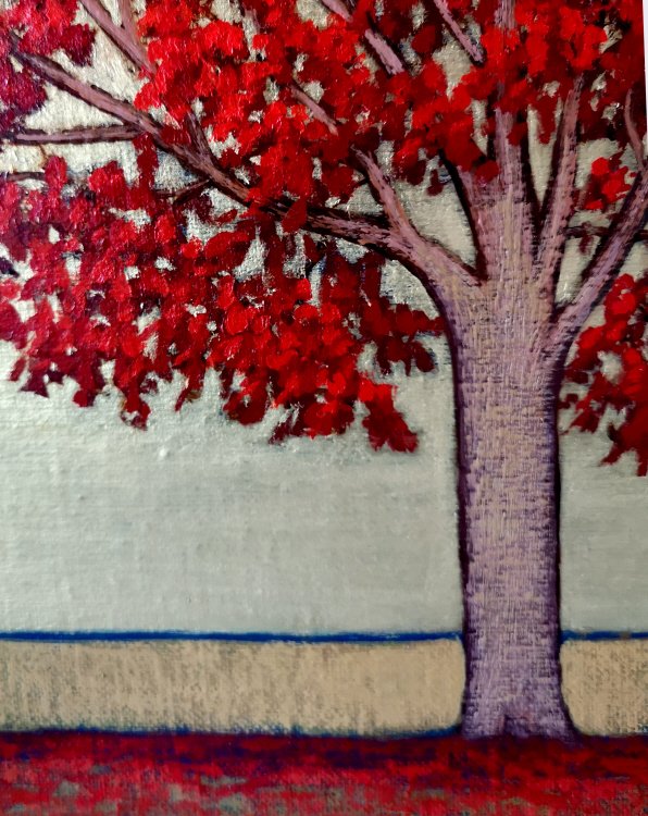 Evening Red 4 - Image 4